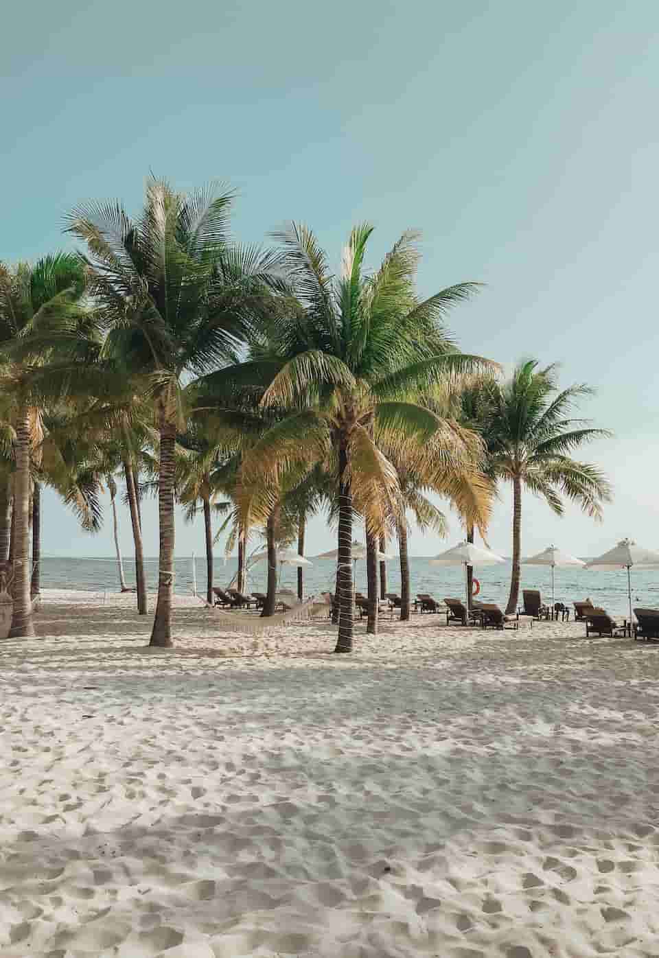 Vietnam welcomes 1st tourists to resort island after 2 years